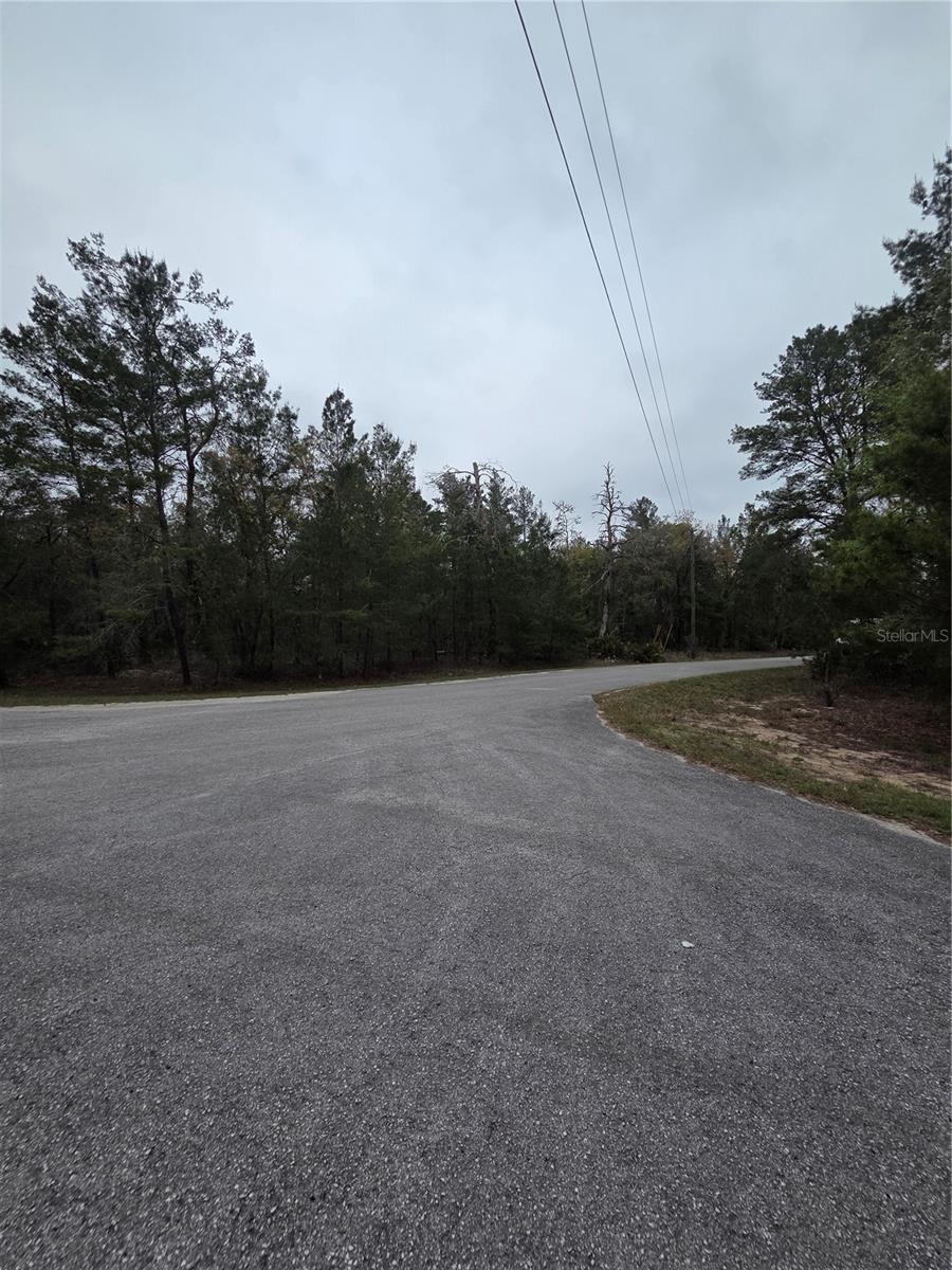 SILVER SPGS SHORES UN #44 - Land