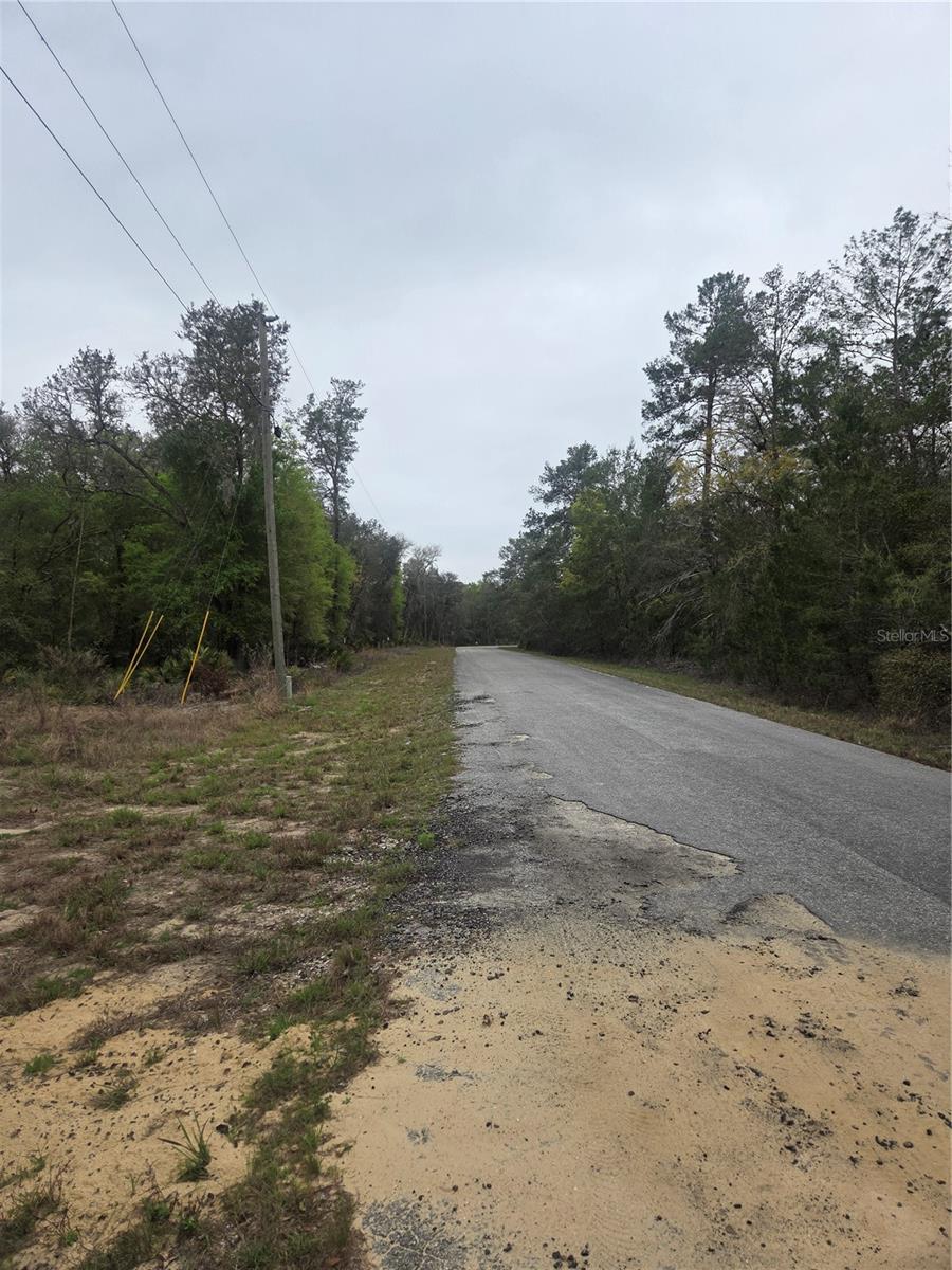 SILVER SPGS SHORES UN #44 - Land