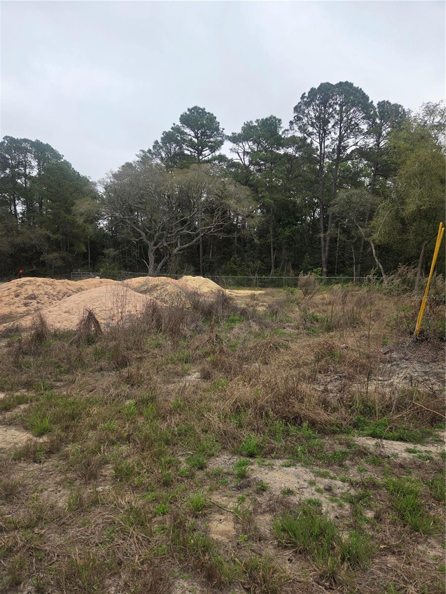 SILVER SPGS SHORES UN #44 - Land