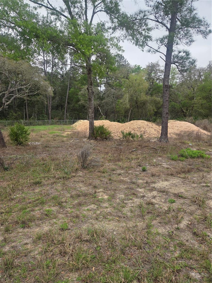 SILVER SPGS SHORES UN #44 - Land