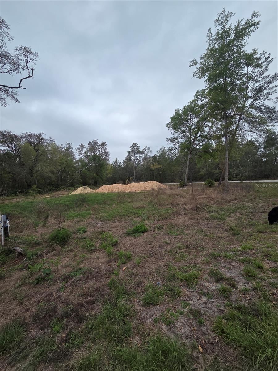 SILVER SPGS SHORES UN #44 - Land