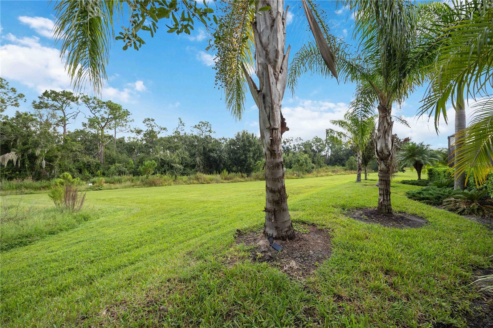 POLO RUN/LAKEWOOD RANCH - Residential