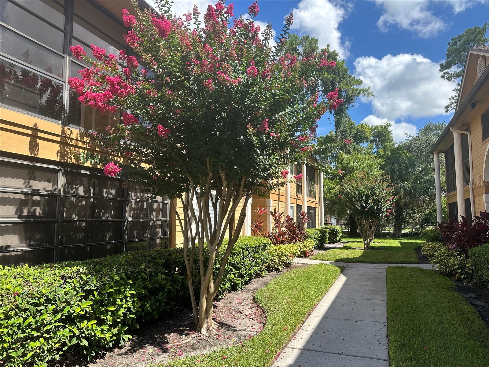 LAKEVIEW CONDO 06 - Residential Lease