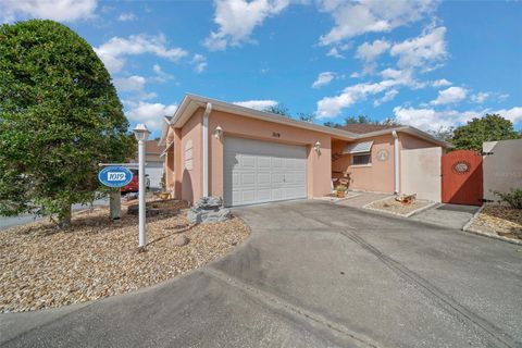 1019 AVALON AVENUE LADY LAKE FL 32159