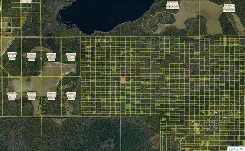 HOLOPAW GROVES ROAD ST CLOUD FL 34772