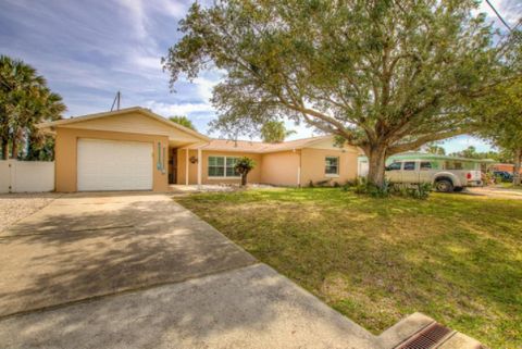 A home in FLAGLER BEACH