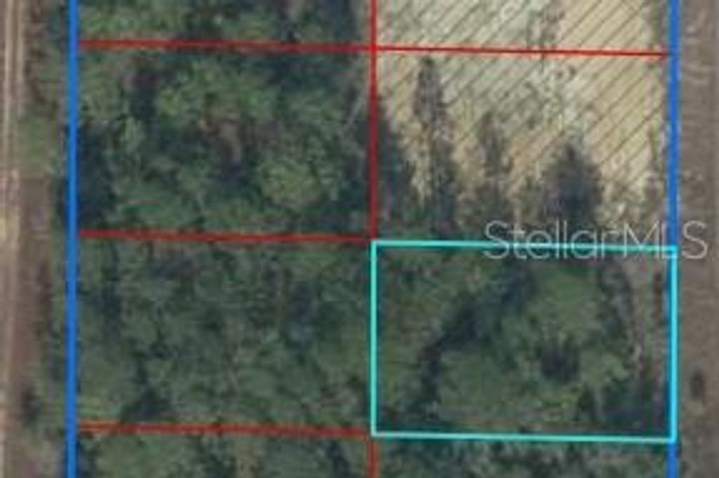 Photo of Tbd NE 148th Court, Williston, FL 32696 (MLS # TB8466170)