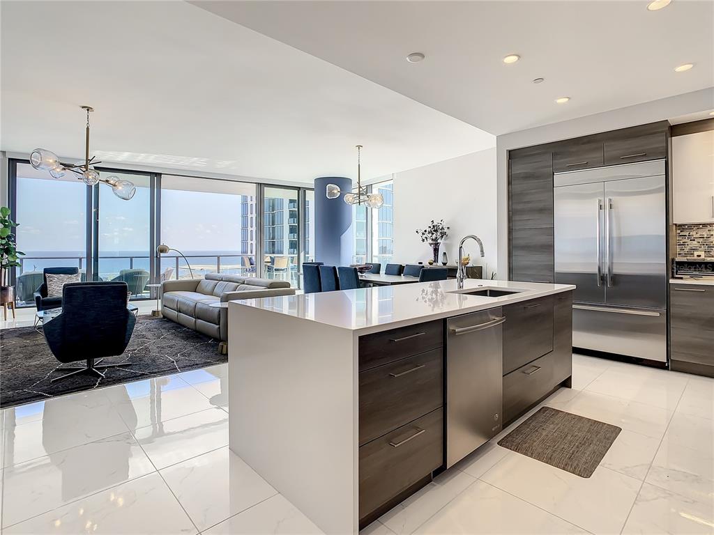 ONE ST PETERSBURG CONDO - Residential