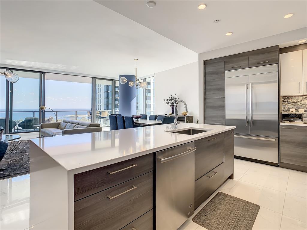 ONE ST PETERSBURG CONDO - Residential