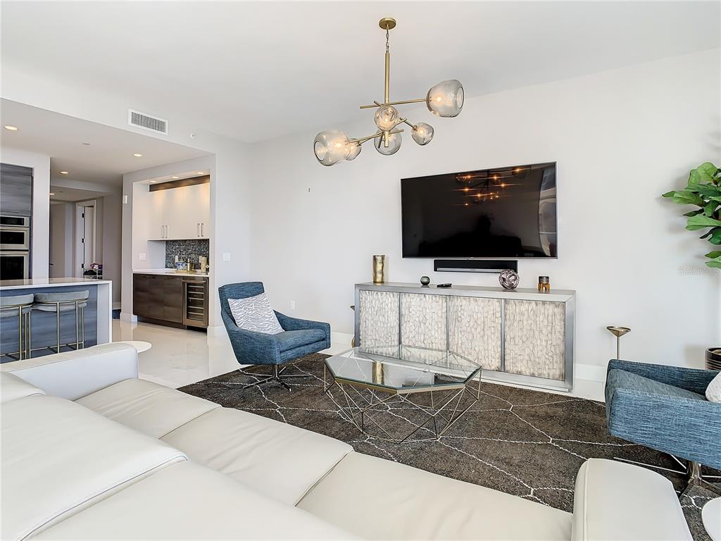 ONE ST PETERSBURG CONDO - Residential