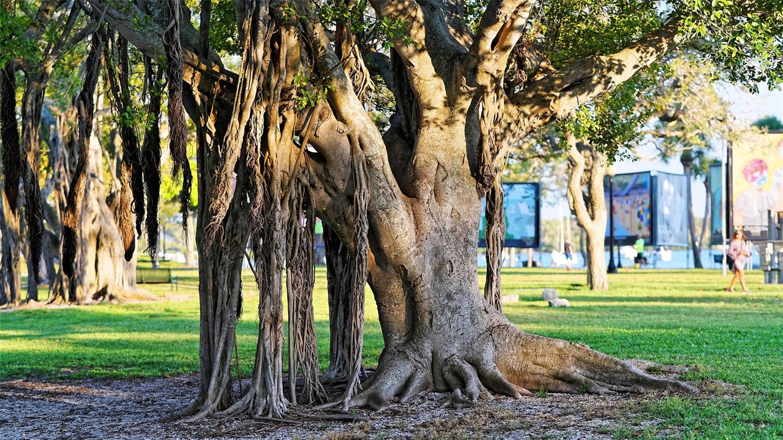 HARBOR VIEW ON GOLDEN GATE POINT - Residential