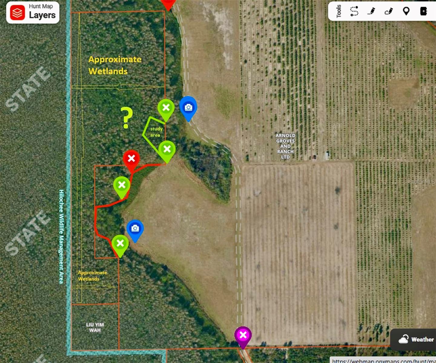 Main image without alt text