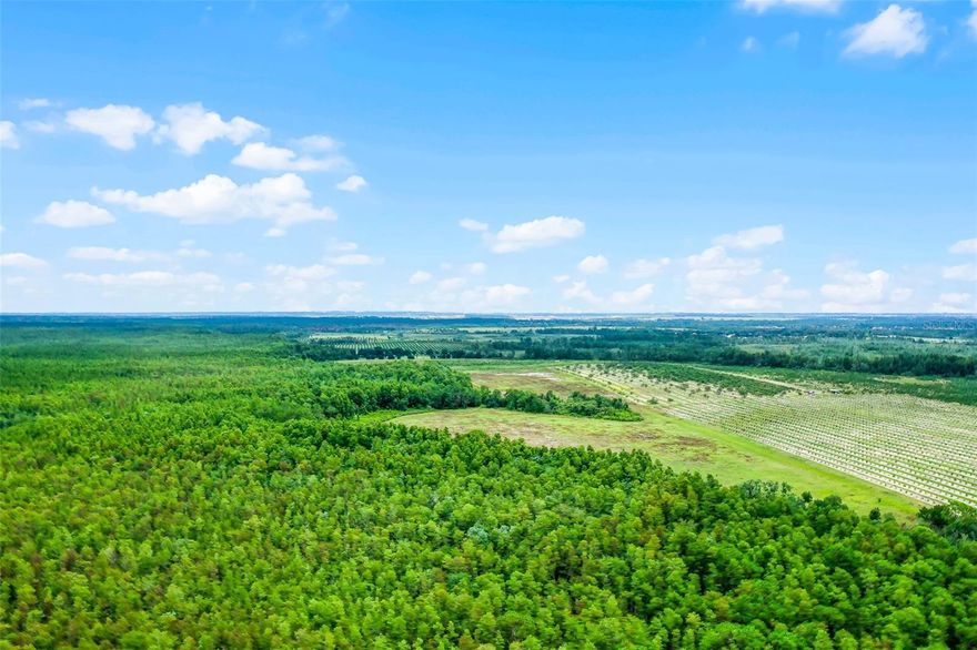 ATTENTION INVESTORS: 22.5 Clermont Acres Near Disney World! Escape to the serene beauty of wooded acreage in an excellent location;  wetlands and approximately 7-8 acres dry upland in the central portion of the acreage per owner in desirable southern Clermont, Florida, and so close to Disney World! This huge parcel offers an opportunity for owners, investors and developers alike, and is being offered at a greatly reduced price due to current lack of access. Best Option to resolve per ChatGPT: Obtaining a Statutory Way of Necessity (Florida Statute §704.01 and §704.04). Acreage was appraised in June 2008 for $665,000. The acreage provides a scenic and tranquil setting, with a private pond abutting the property. Owner motivated.  Close proximity (less than 2,000 feet) to a luxury gated horse community (including Disney executive owners) featuring homes on 2-5 acre lots adds to the area's allure, offering an attractive proposition for equestrian enthusiasts. Only a short drive from Route 27 and 474, this property holds significant appeal for those looking to invest in this thriving and growing tourism sector. Property is bordered by closed Boggy Marsh Rd section on the eastern side, but offering a history of road access. You may unlock the full potential by pursuing a Zoning change and developing more than one residential unit for 25 acres, catering to the growing demand in the area, for agricultural use, or use your imagination! Don't miss out on this rare opportunity to own a substantial piece of the American Dream in a sought-after location. 30 year land-lender financing available to qualified buyers or 2-year Seller financing.  Sold AS-IS. Buyer to confirm all information, please. It's time to make this way-below-market priced acreage yours!