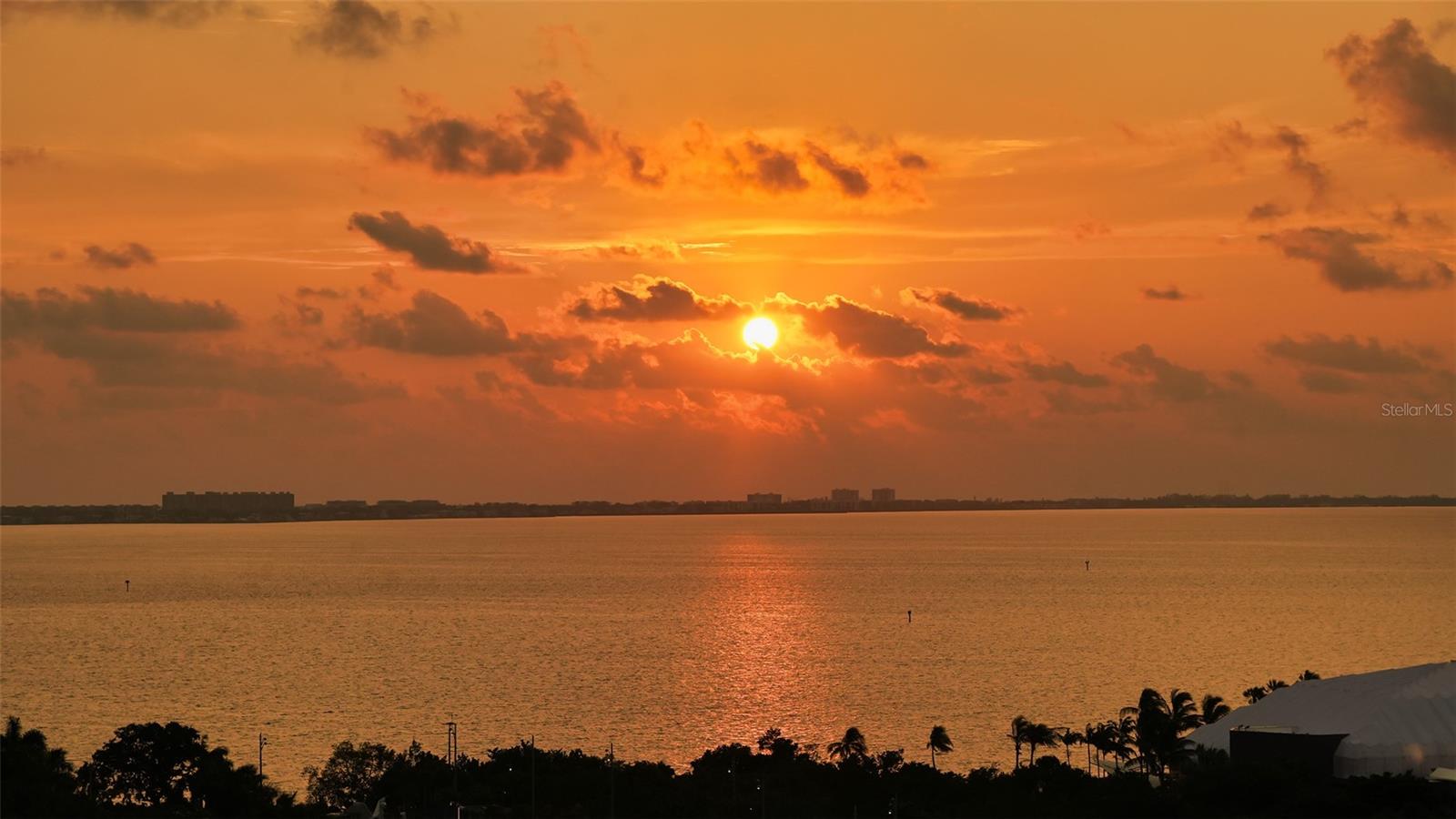 THE BLVD SARASOTA - Residential