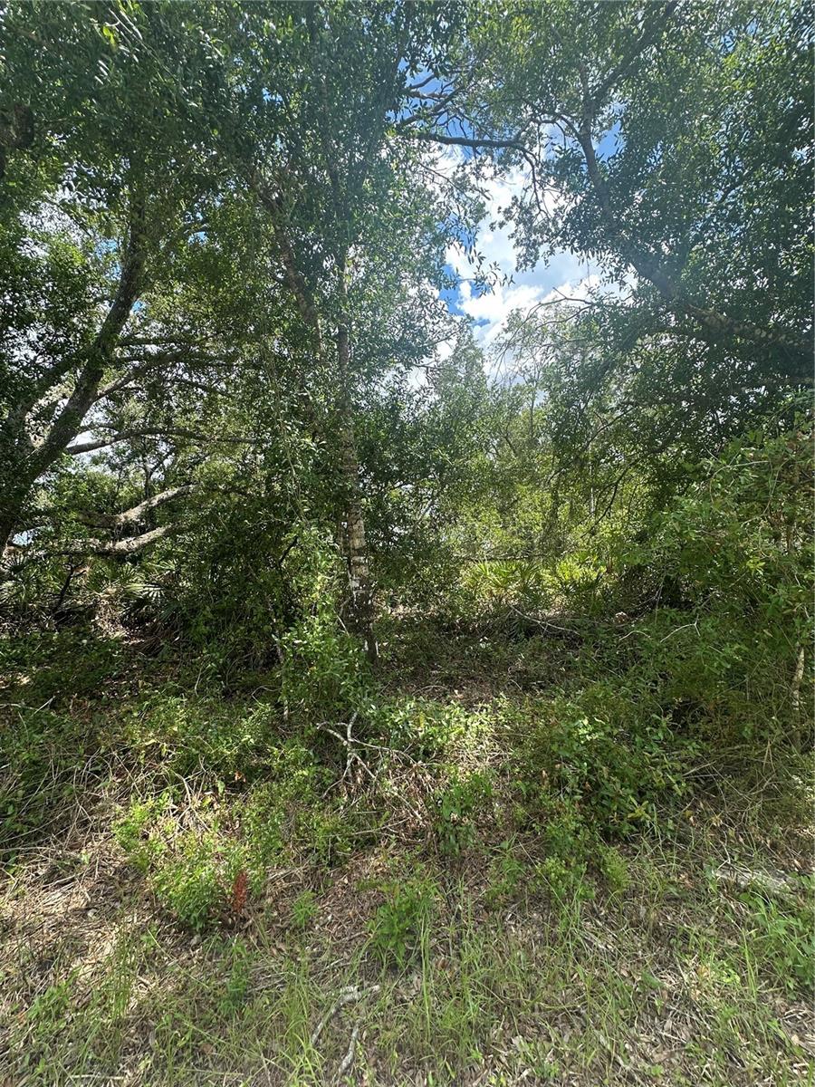 Exceptional Opportunity in North Port Build Your Dream in a Booming Florida Hotspot! Seize the chance to own a prime residential lot in the rapidly growing and highly sought-after city of North Port, Florida-one of Southwest Florida's most exciting and dynamic communities. This peacefully located parcel offers no HOA fees, no deed restrictions, and no CDDs, giving you the freedom to design and build exactly what you envision. Plus, as of May 2025, this lot is not listed on the North Port Scrub Jay map (buyer to verify during due diligence). Just minutes from I-75, this ideal location ensures easy commuting while keeping you close to everything-shopping, dining, top-rated schools, parks, golf courses, and world-class fishing. With new construction all around, it's clear that North Port is on the rise, making this the perfect time to invest in your future. Love the beaches- You're in luck-stunning Gulf Coast beaches are just a quick 25-minute drive away, where you can unwind with the sand between your toes and breathtaking sunsets at your fingertips. Sports fans will appreciate being near MLB Spring Training stadiums to catch the games. Whether you're planning to build your forever home or looking for a savvy investment, this property offers unlimited potential in a thriving area. Need help getting started? Local builder referrals are available upon request. Don't miss out on this incredible opportunity in one of Southwest Florida's most exciting and up-and-coming cities!