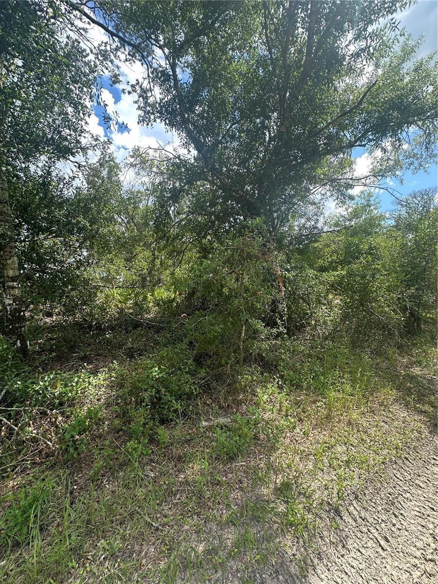 PORT CHARLOTTE SUB 30 - Land