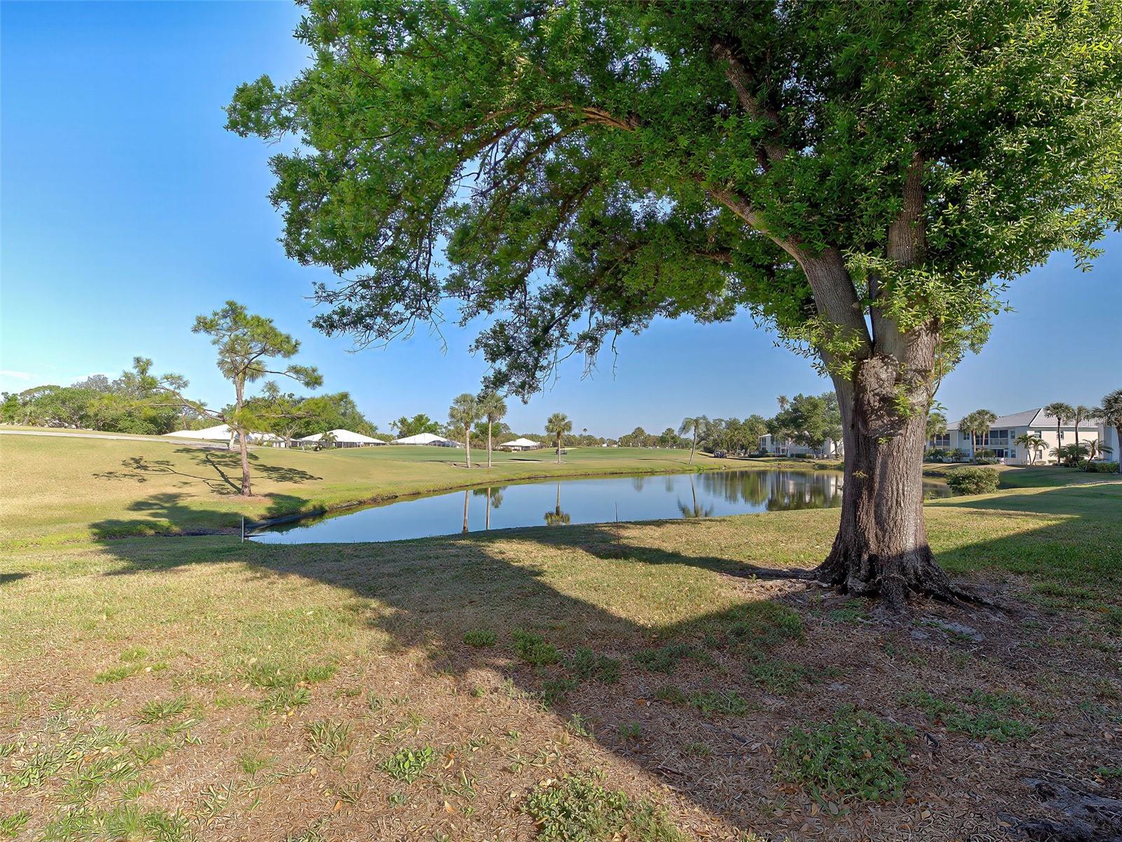 FARMINGTON VISTAS - Residential