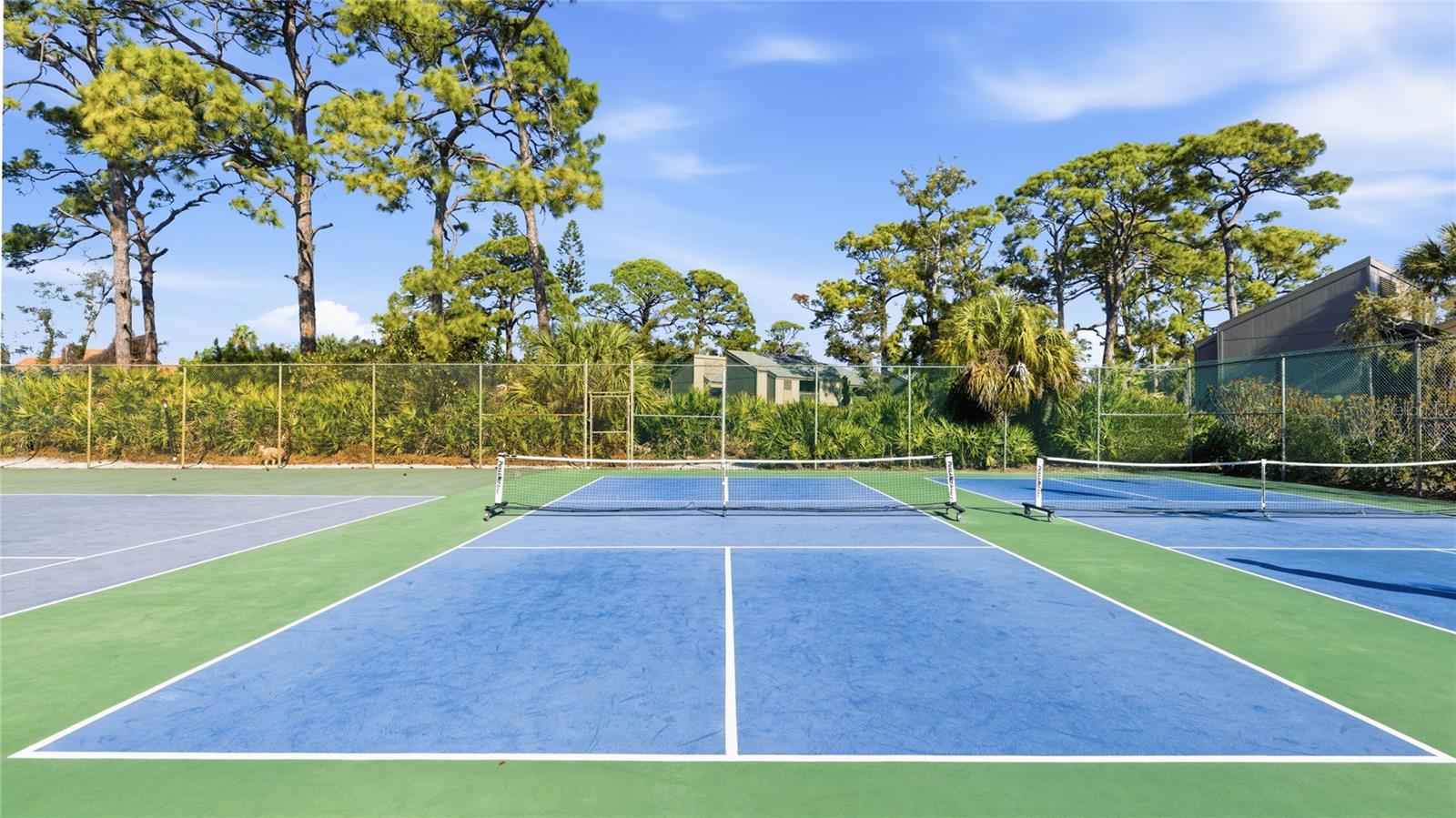 BLACKBURN POINT WOODS - Residential