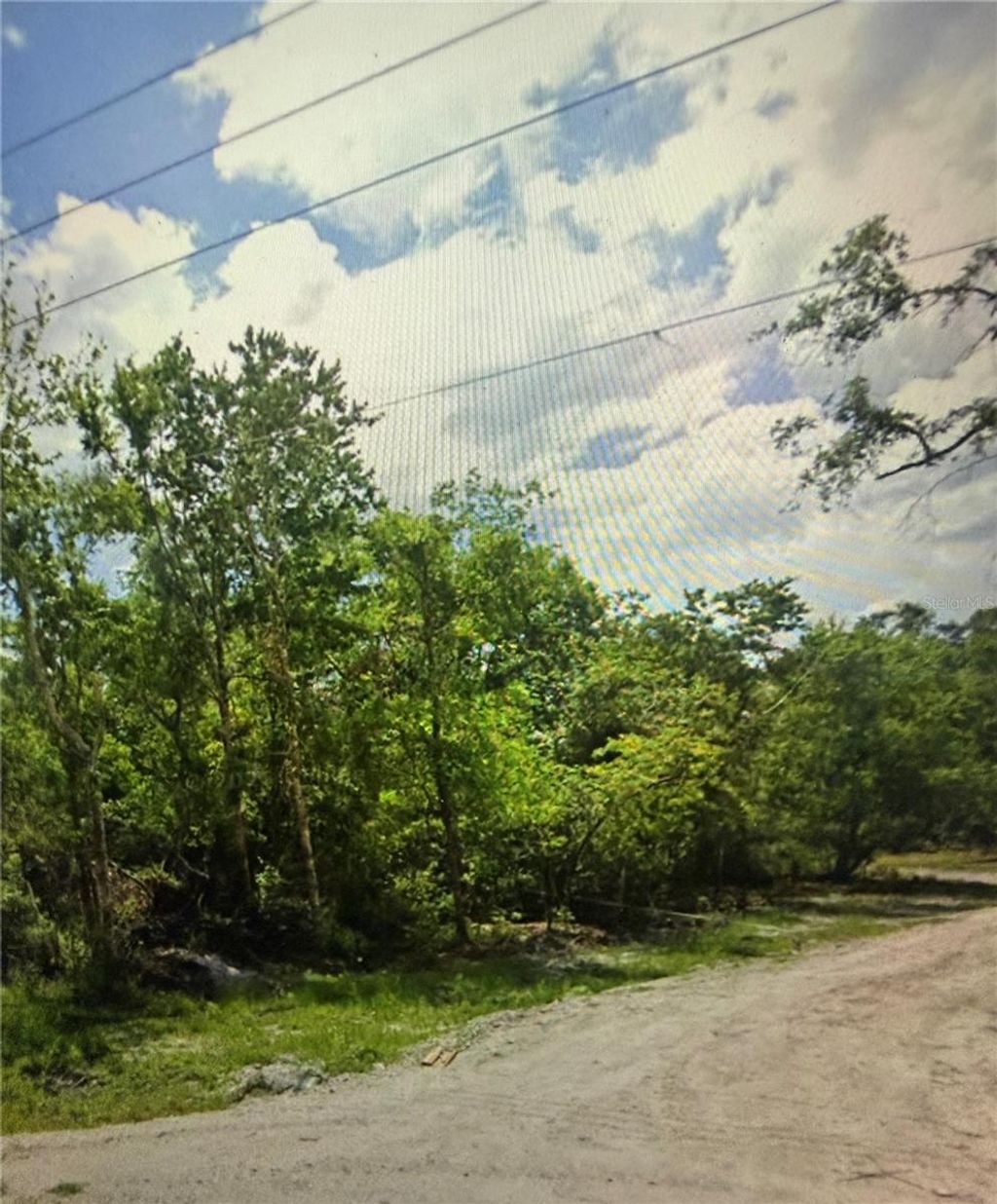 Photo of Bruton Road, Plant City, FL 33565 (MLS # TB8481519)