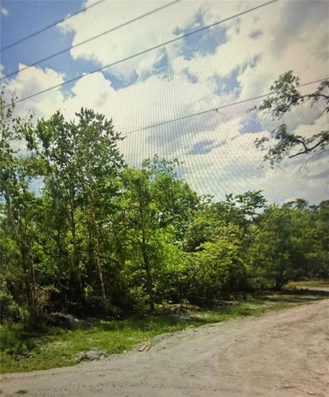 Photo of Bruton Road, Plant City, FL 33565 (MLS # TB8481519)