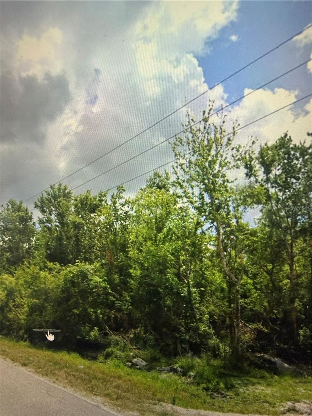 Photo of Bruton Road, Plant City, FL 33565 (MLS # TB8481519)