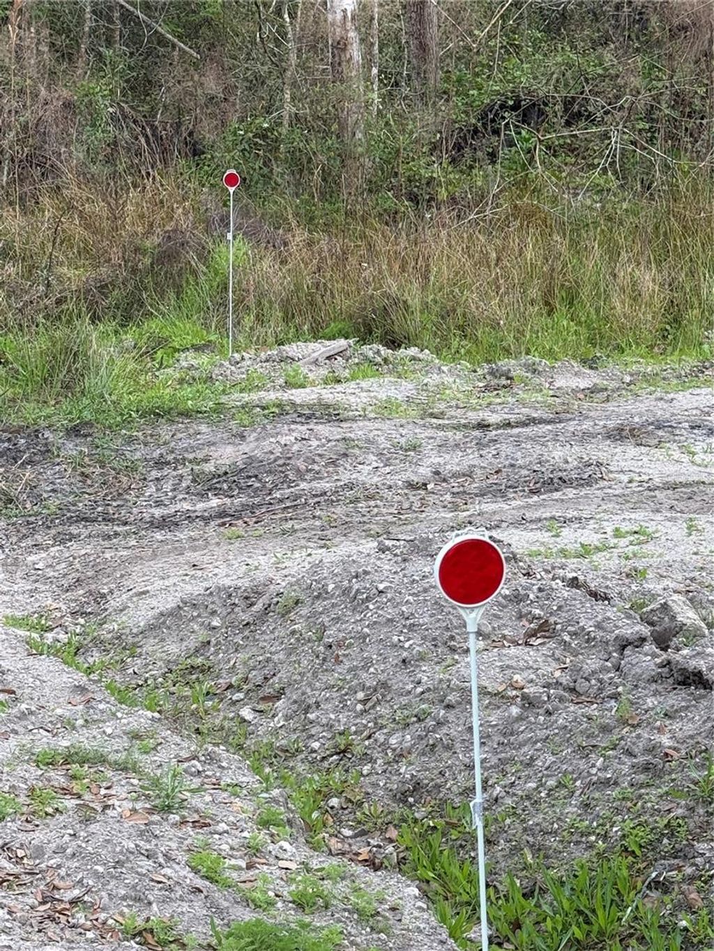 Photo of 4021 Bruton Road, Plant City, FL 33565 (MLS # TB8481519)