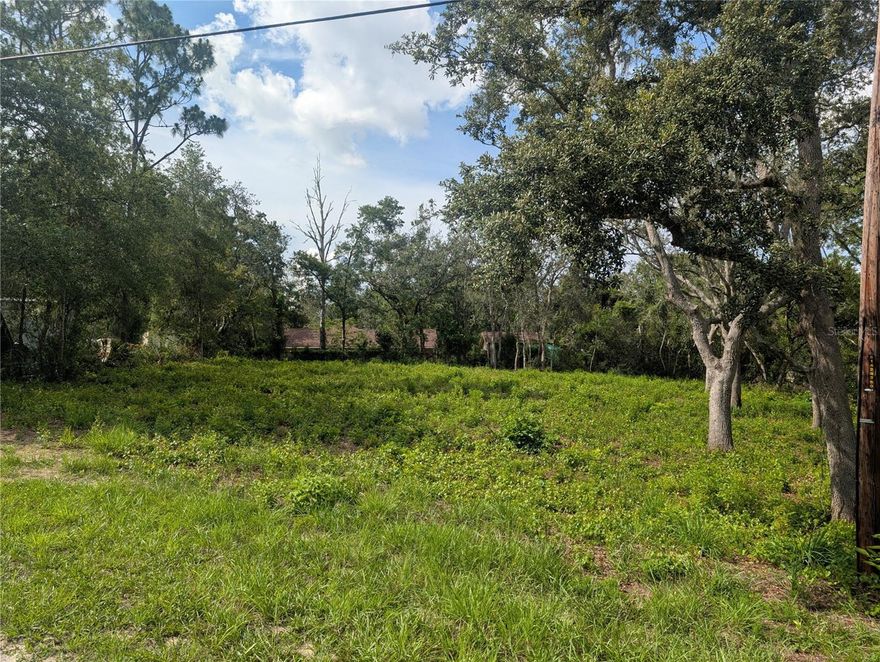 Motivated Seller—Bring All Offers! Looking for a magical property? This enchanting lot on the scenic corner of Merlin Circle and Round Table Road in the Camelot neighborhood is ready for your dream build. Bordering the Withlacoochee River, this beautiful 0.44-acre residential lot in Ridge Manor, Florida, offers the perfect blend of nature, outdoor adventure, and modern convenience.
Recently cleared with care to preserve mature oak trees, the property provides a rare combination of open space and natural shade—ideal for a custom or modular home. The west side of the lot is high, dry, and level (Zone X), offering a clean, ready-to-develop homesite. A low-lying area in the southeast corner (Zone A) could host a charming pond, while the northeast corner features peaceful river views approximately 15 feet below—scenic without direct river access.
Set off a paved road with a picturesque drive-in, this lot is less than 5 miles from I-75 and US-98/Hwy 50/Cortez Blvd, making Tampa and surrounding areas easily accessible. Outdoor enthusiasts will love the proximity to the Withlacoochee State Trail (3 miles),Croom Motorcycle Area, Withlacoochee State Forest, Cypress Lake Preserve, Silver Lake Recreation Area, and Dade Battlefield Historic State Park. Even Weeki Wachee Springs and the Gulf are just a short 30-mile drive away.
Seller is highly motivated—bring all offers! Whether you're looking to build your forever home or invest in a nature-inspired lifestyle, this property is a rare gem. Don’t miss your chance to own a piece of Florida magic.