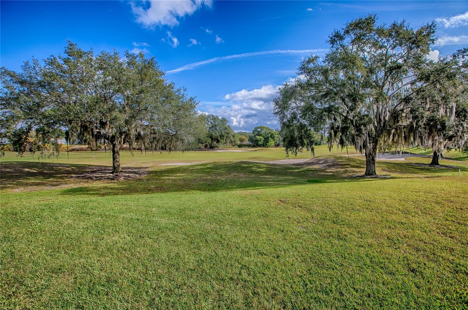 PLANTATION AT LEESBURG MANOR VIEW VILLAGE - Residential