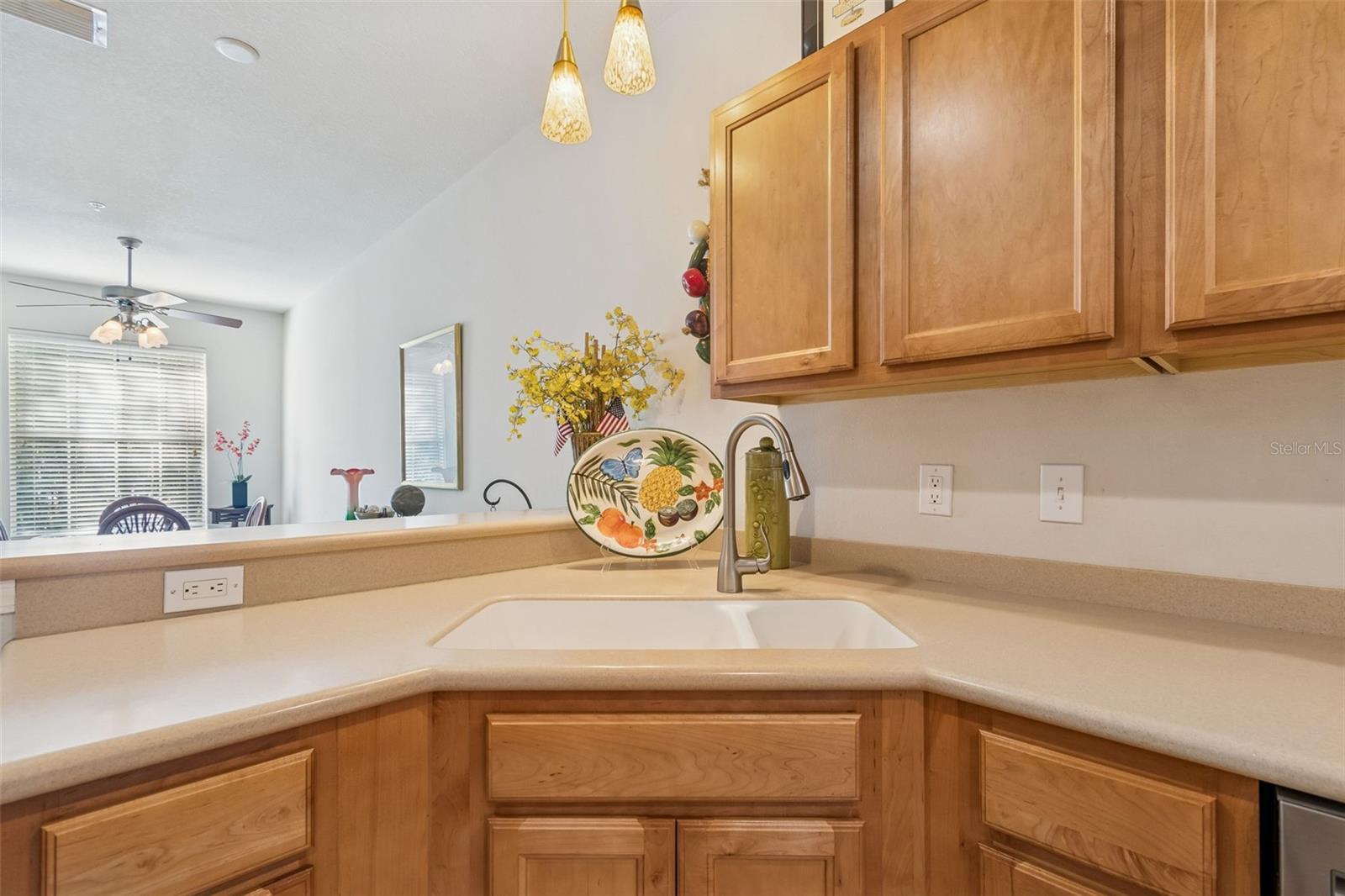 COACHMAN RESERVE - Residential