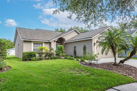 A home in LITHIA