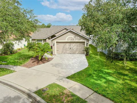 A home in LITHIA