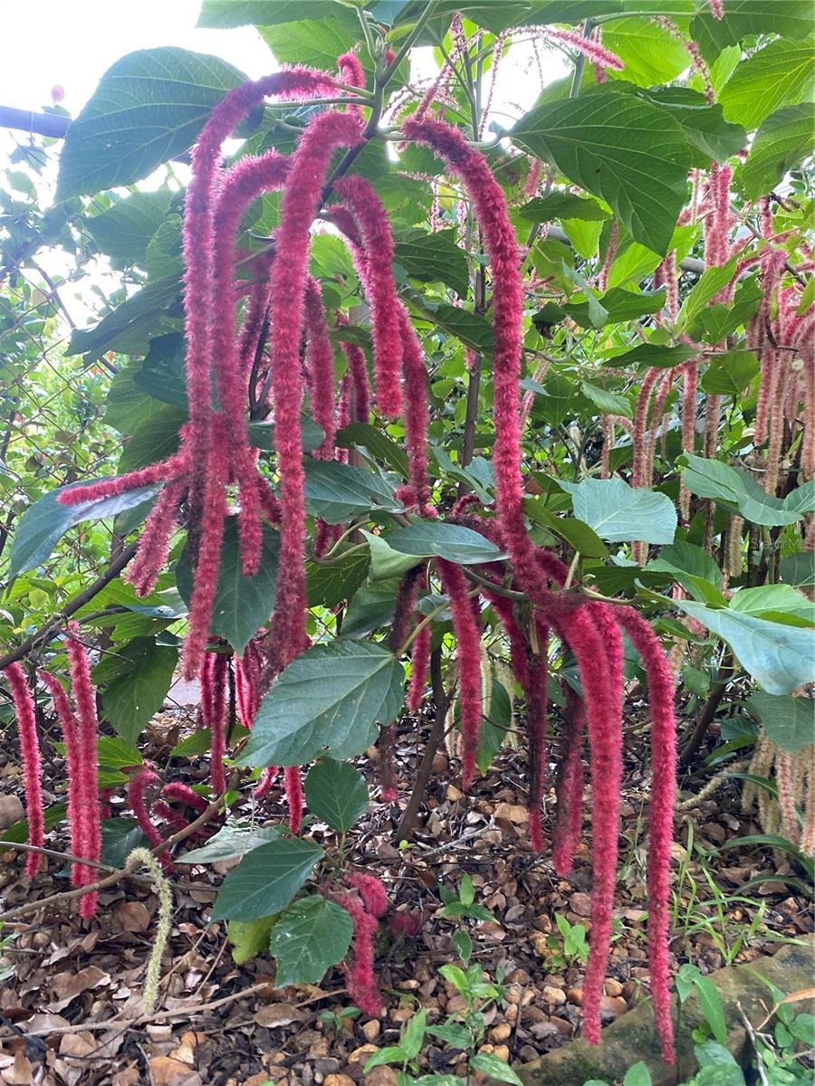 SUN HAVEN HOMES - Residential