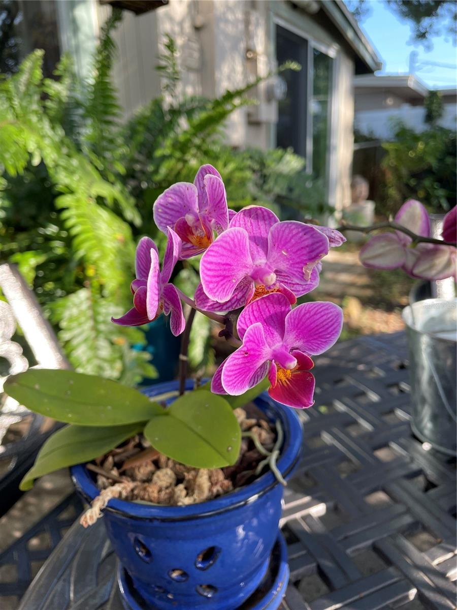 SUN HAVEN HOMES - Residential