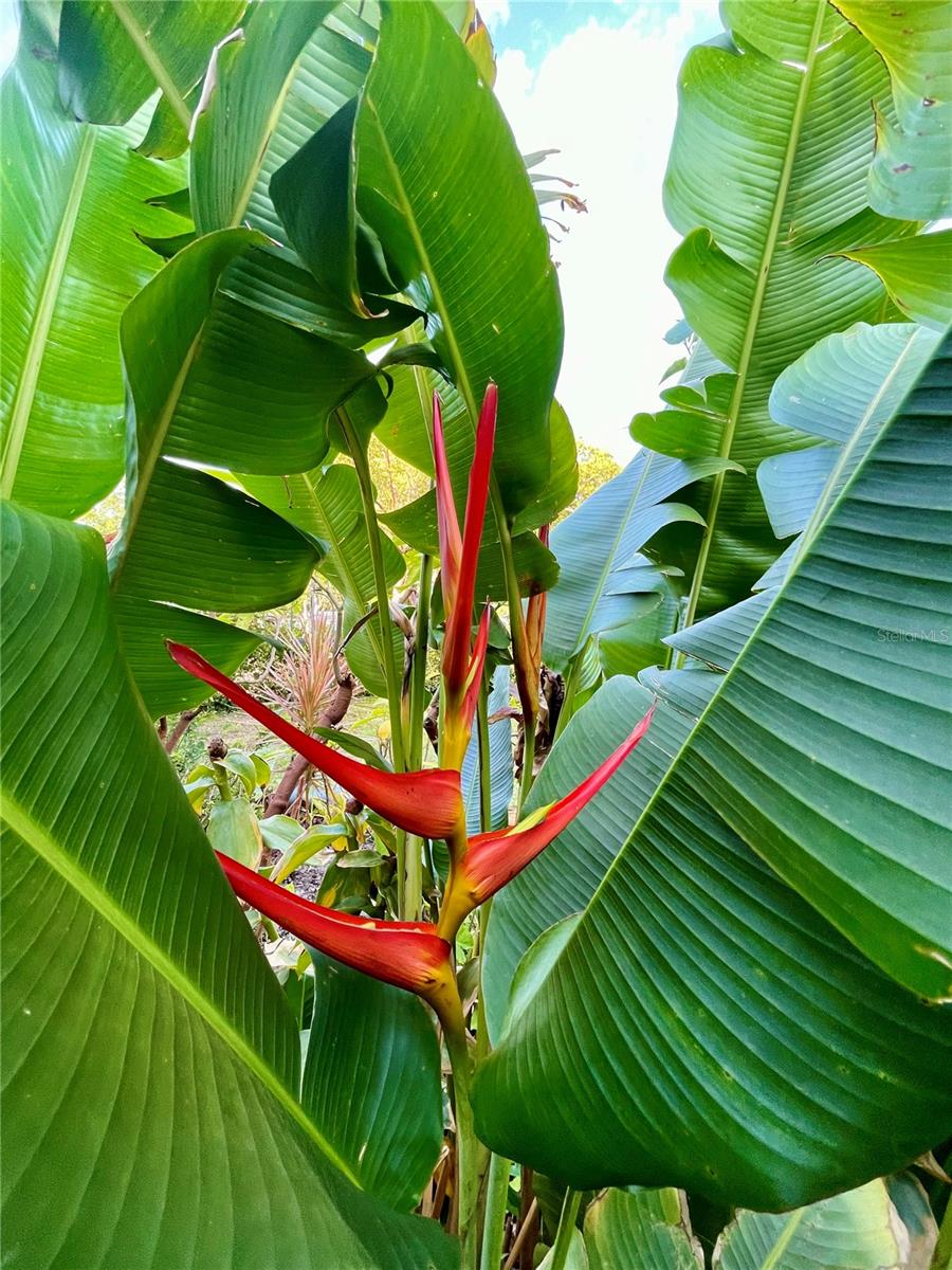 SUN HAVEN HOMES - Residential