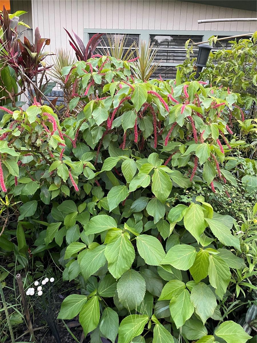 SUN HAVEN HOMES - Residential