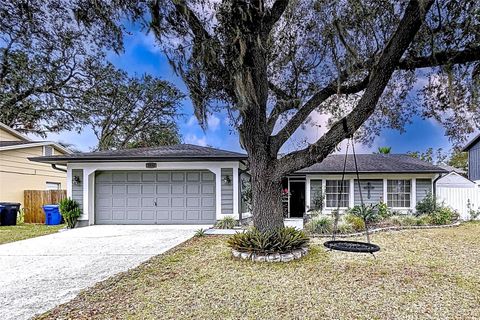 A home in BRANDON