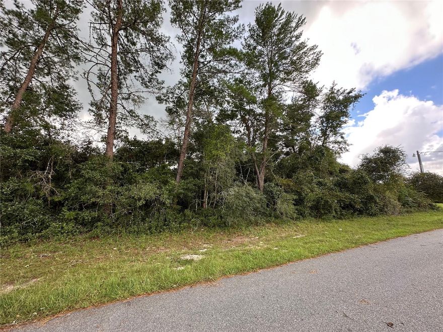 Nice with water and electricity standard connection in Marion Oaks North. Lot is located in unit 7 with close proximity to 484. A quiet neighborhood to build your dream home. Conveniently located in a community with shopping, restaurants, entertainment and recreation. Marion Oaks has a community center, fitness center and library. Easy commute to I-75.