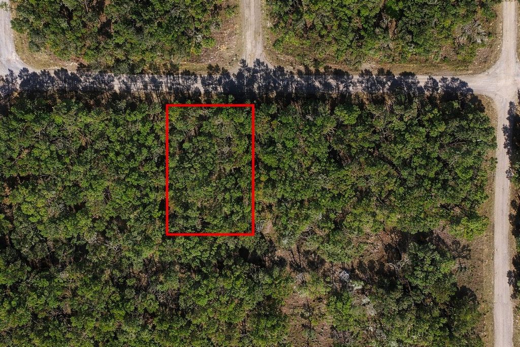 Photo of 60 E Falcon Street, Dunnellon, FL 34434 (MLS # O6384123)