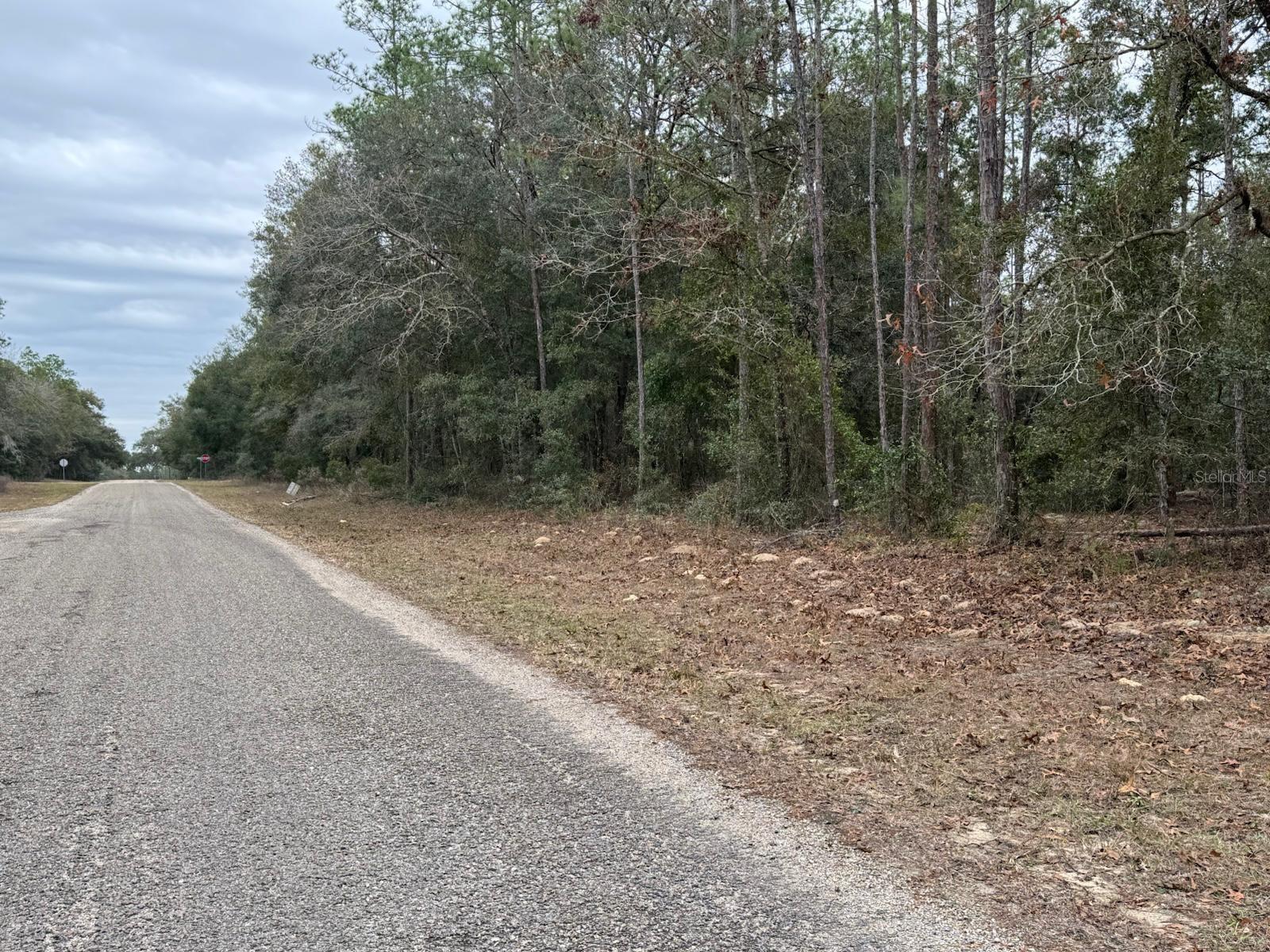 CITRUS SPGS UNIT 05 - Land