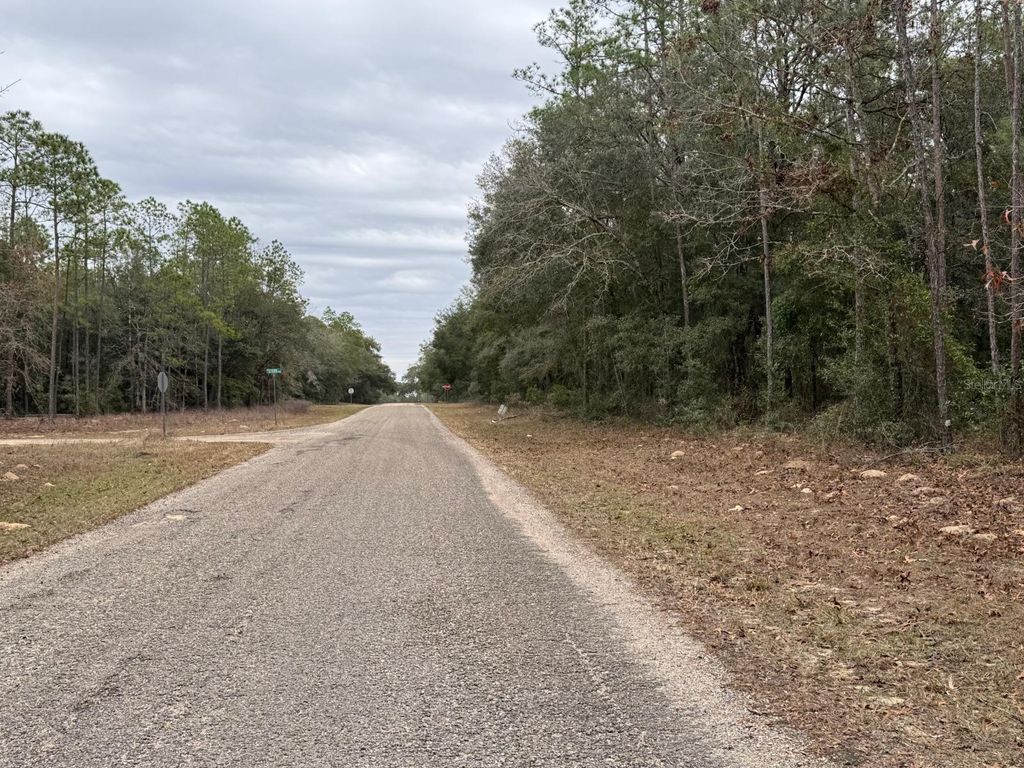 Photo of 60 E Falcon Street, Dunnellon, FL 34434 (MLS # O6384123)
