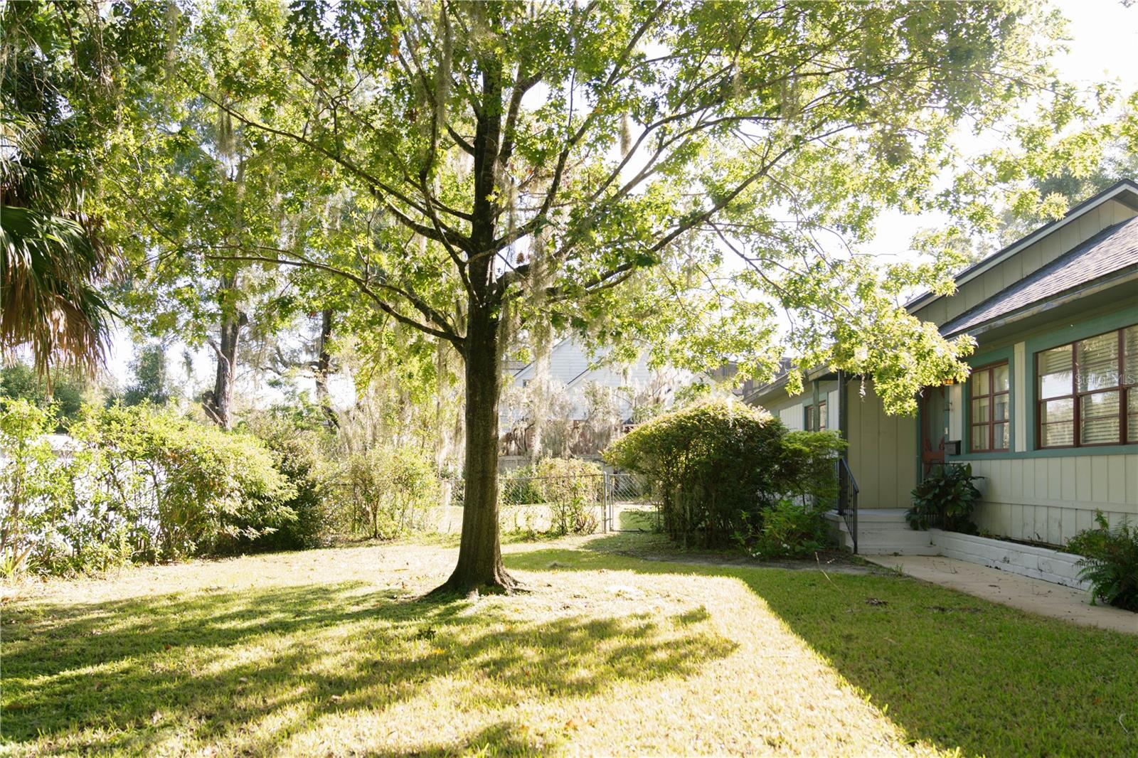 MAITLAND CLUB - Residential