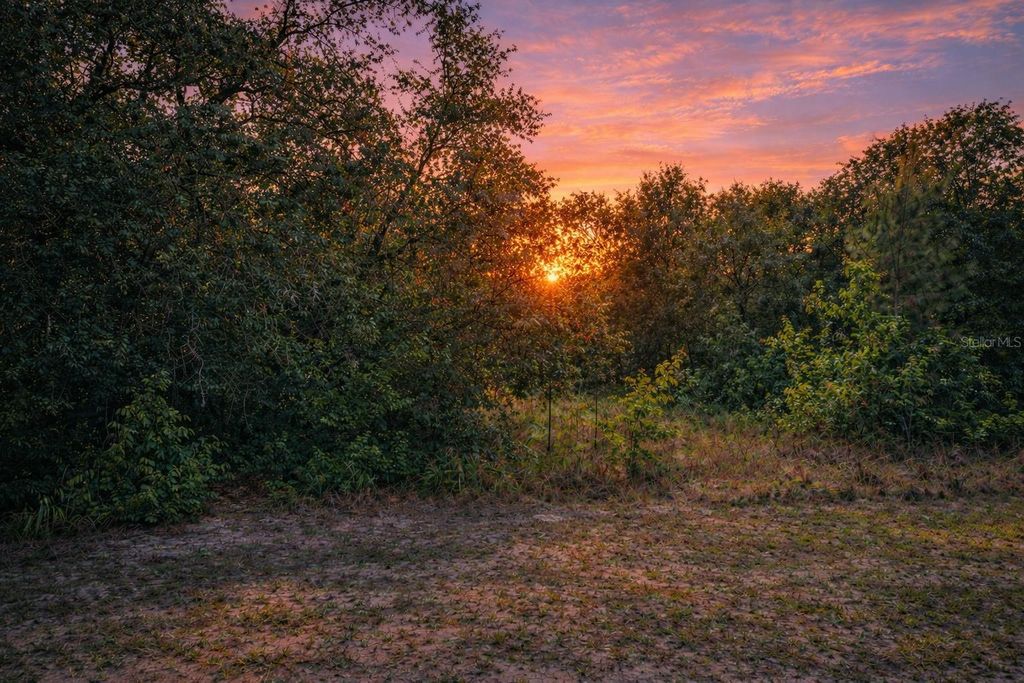 Photo of 4375 SW 194th Avenue, Dunnellon, FL 34432 (MLS # O6383335)