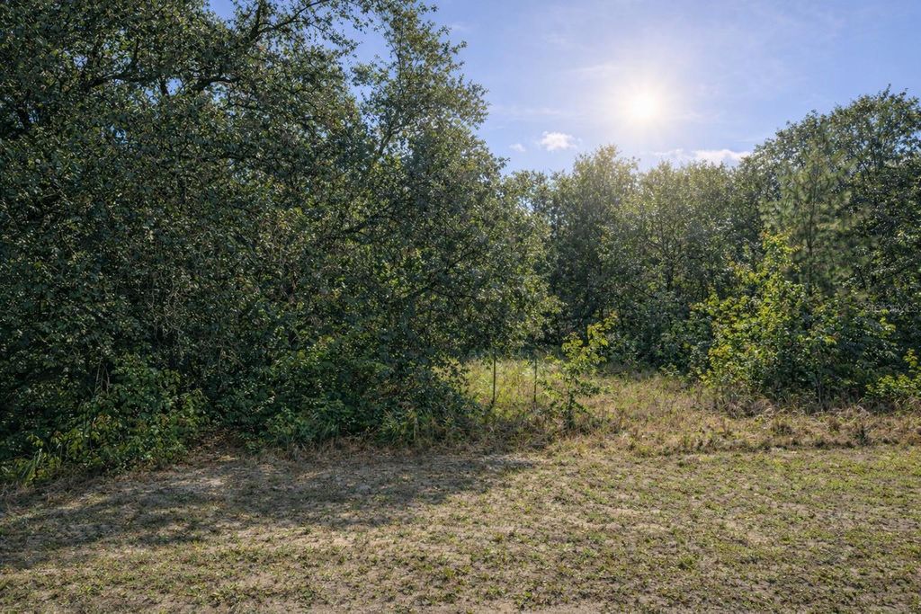 Photo of 4375 SW 194th Avenue, Dunnellon, FL 34432 (MLS # O6383335)