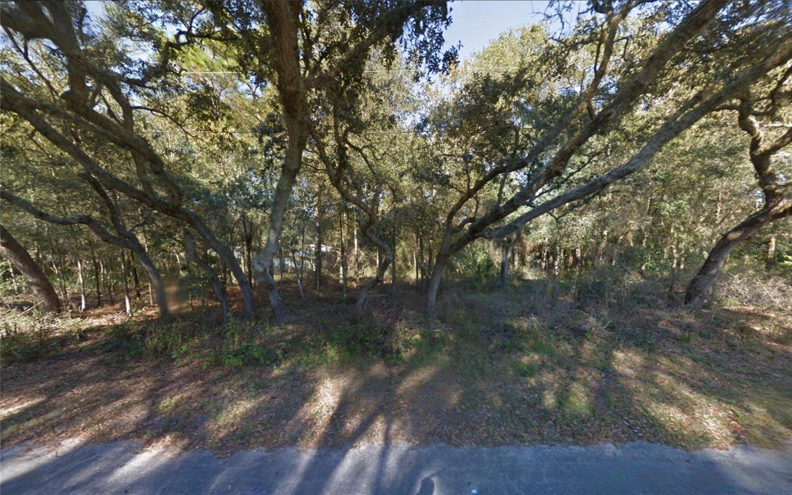 GOLDEN HILLS DELAND UNREC 137 - Land