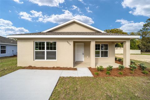 A home in BELLEVIEW