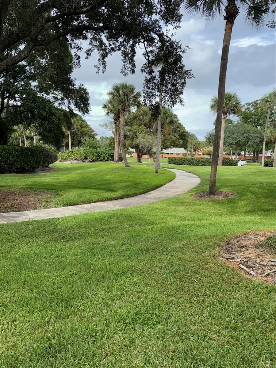 RAINTREE VILLAGE CONDO - Residential