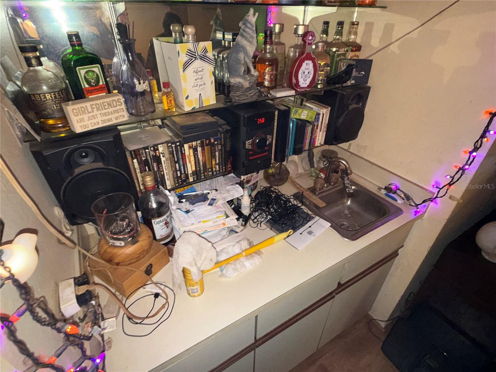 RAINTREE VILLAGE CONDO - Residential