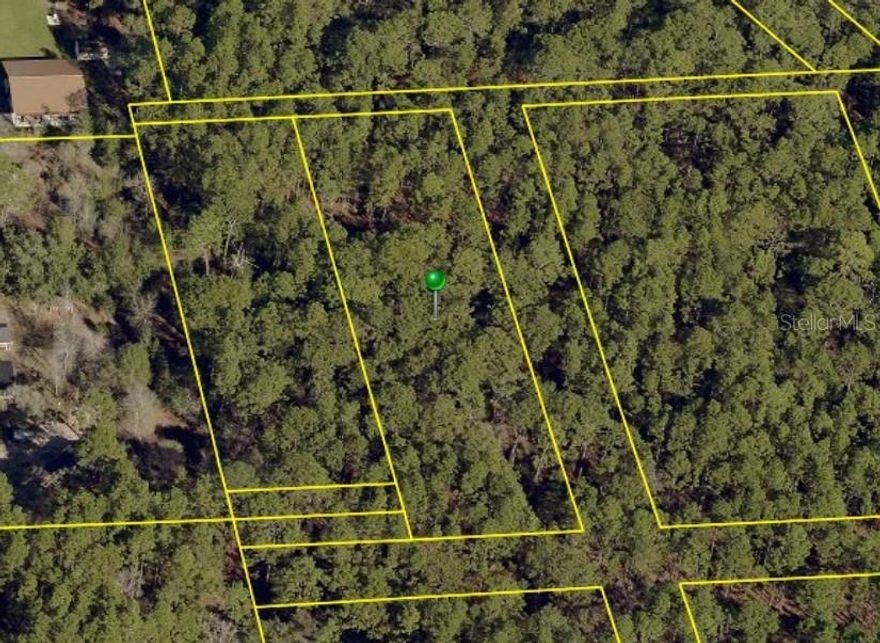 The perfect home site for your brand new dream home awaits! Situated in the heart of Brooksville FL sits an acre of raw, wooded land ready for you to call home. You'll love living in this quiet little neighborhood off of Powel Rd. The surrounding area leading to this home site is decorated in great big live oak trees and hanging moss swaying in the breeze. This home site is located the perfect distance from the hustle and bustle of downtown, but just minutes away from local boutiques, restaurants, antique shoppes and so much more. You will love the small town feeling of living in Brooksville, Fl. Don't wait, schedule your private viewing of your future home now!