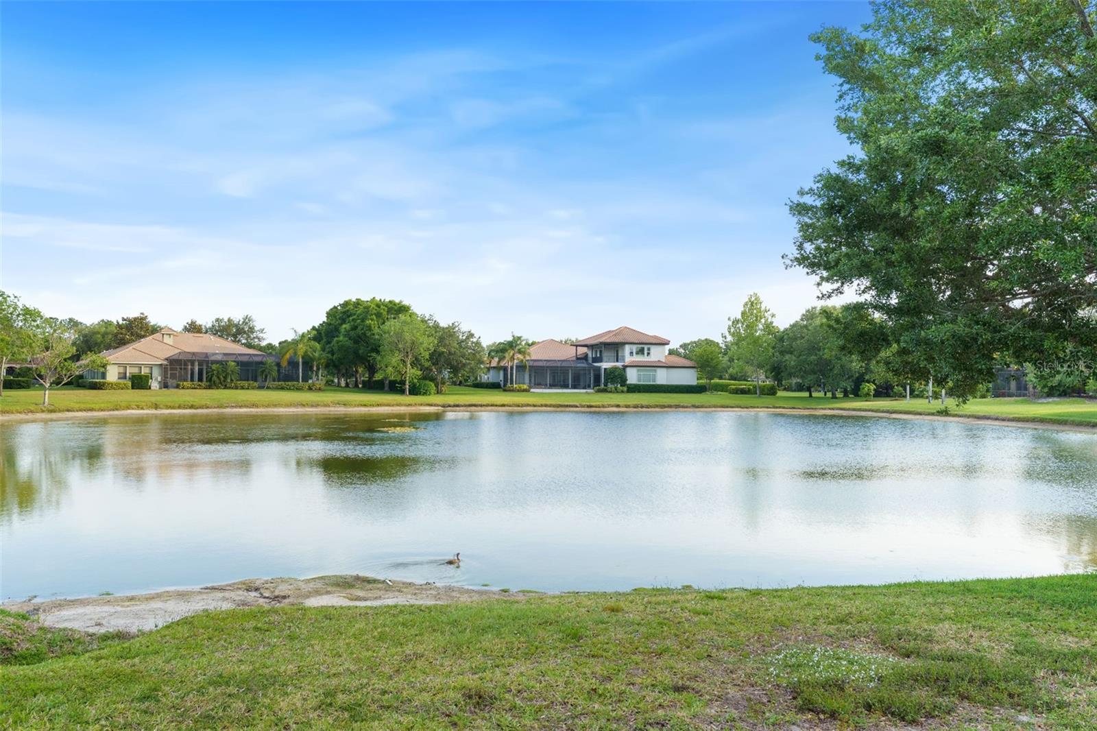 NORTHBRIDGE AT LAKE PRETTY - Residential