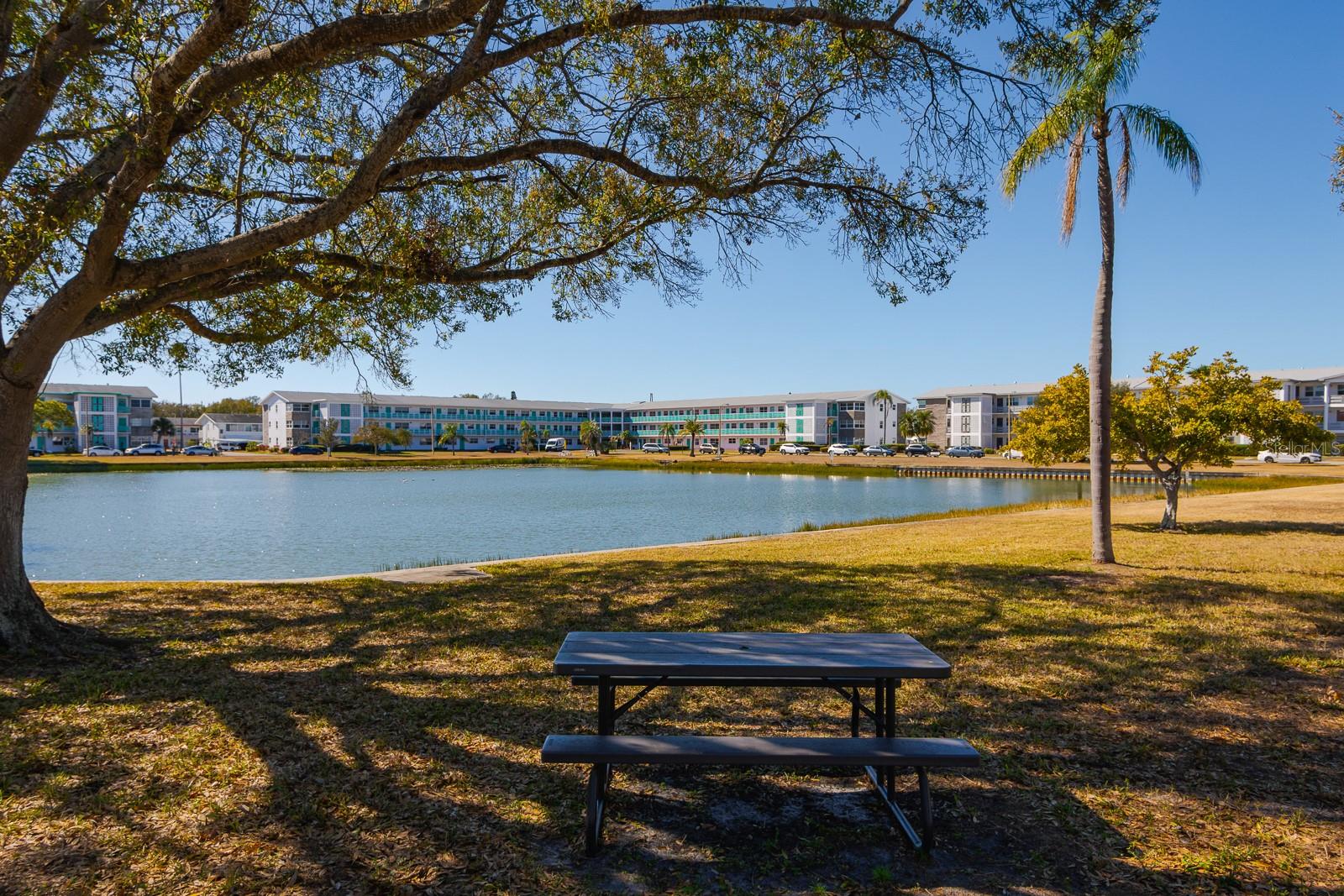 TOWN APTS CONDO - Residential